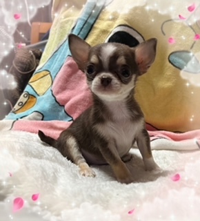 可愛く成長中♪
