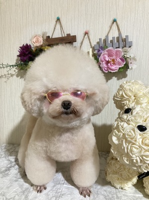 爆毛のタイニー女の子♪アフロがお似合い(^^♪