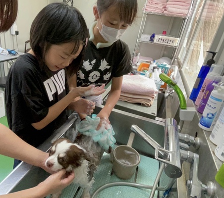 お手入れ体験ペッザニア