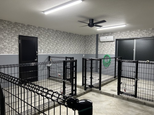 犬舎内ドッグランです