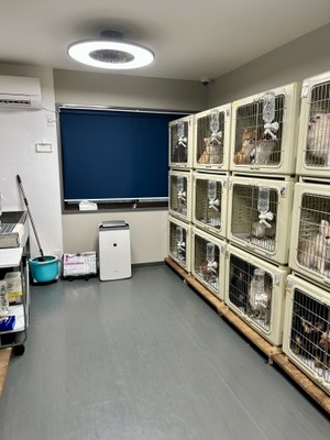 犬舎内生活ルームです