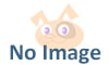 q_