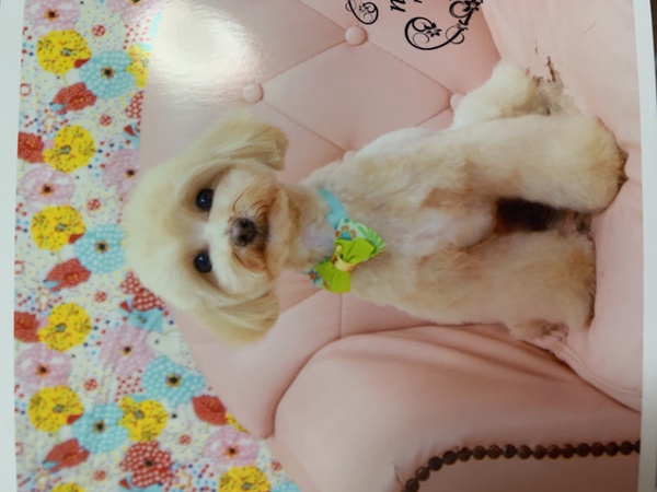 犬友さんになってください(^^)