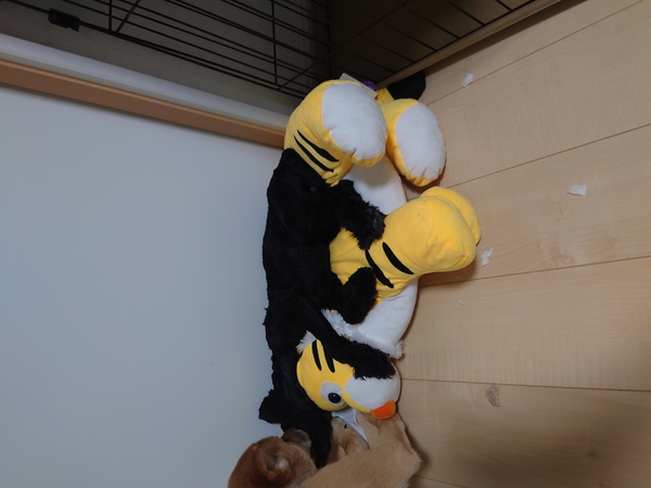 お友達になって下さい