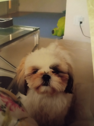 幸せな犬友生活送ろう◆
