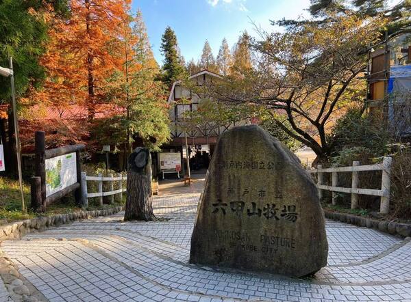 こんにちは、初めまして、よろしくお願いします