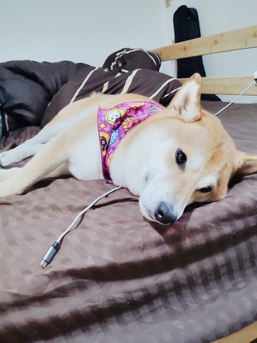 近い人で