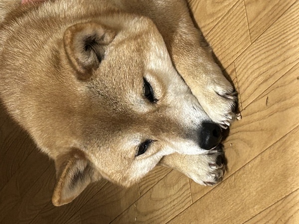  ܂ Č _ސ쌧 34035