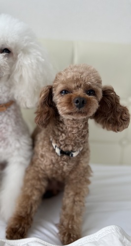  ܂ gCv[h _ސ쌧 35257