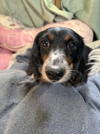  ܂ _bNXtg 򕌌 35314