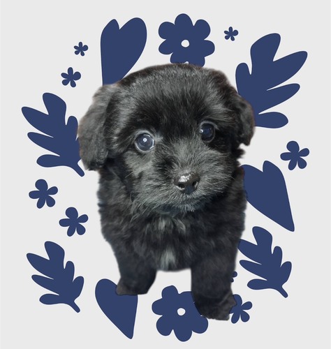 �� ����܂� �~�b�N�X ��t�� 35432