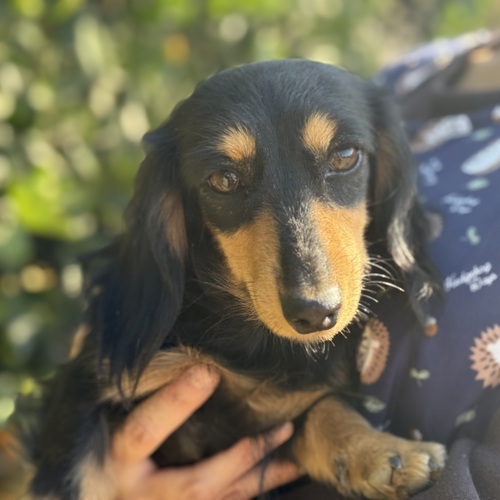  ܂ Jjw_bNXth 쌧 35447