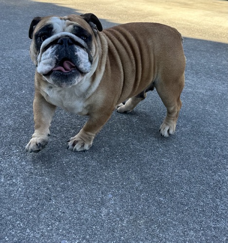 �� ����܂�  ��ʌ� 35474