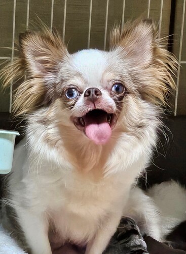 �� ����܂� �`���� ������ 35477