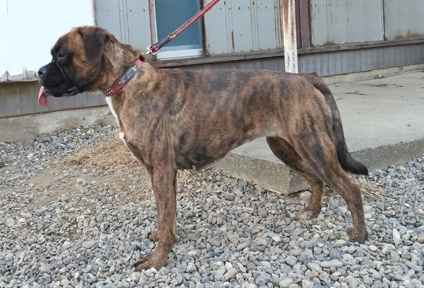 �� ����܂�  ��ʌ� 35496