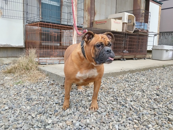 �� ����܂�  ��ʌ� 35498