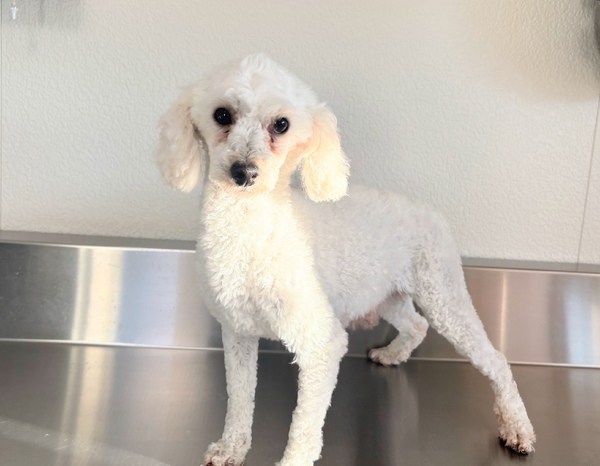 �� ����܂�  ��ʌ� 35546