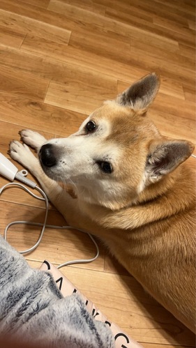 �� ����܂� �Č� ���m�� 35575