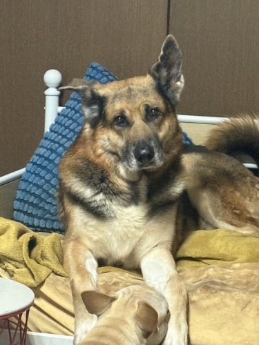 �� ����܂� �G�� ���m�� 35617