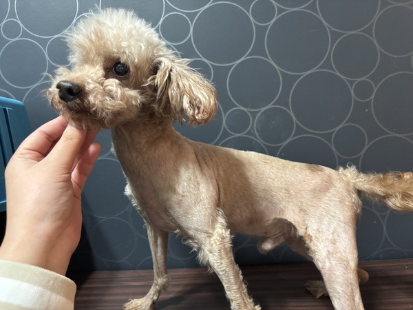 �� ����܂� �g�C�v�[�h�� ���Ɍ� 35784