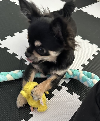 �� ����܂� �`���� ���ꌧ 35812