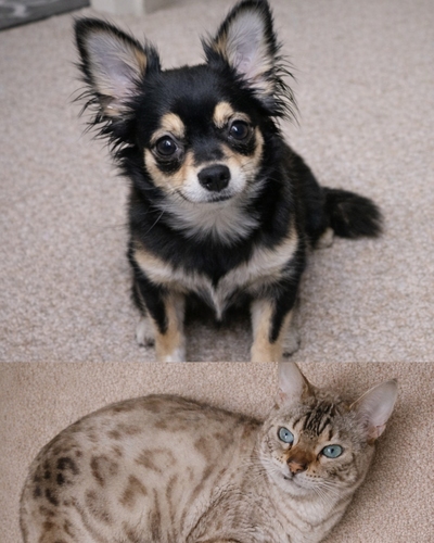 �� ����܂� �`���� ���Ɍ� 35825