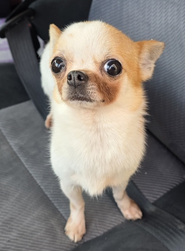 �� ����܂� �`���� ���Ɍ� 35892