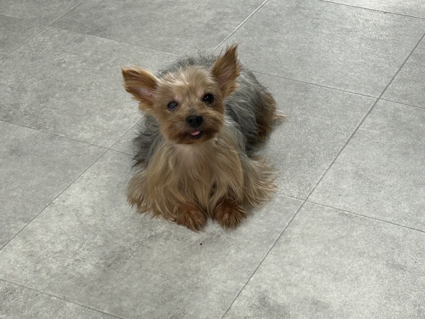 �� ����܂� ���[�N�V���[�e���A ���쌧 35928