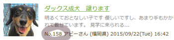 募集記事 番号の場所