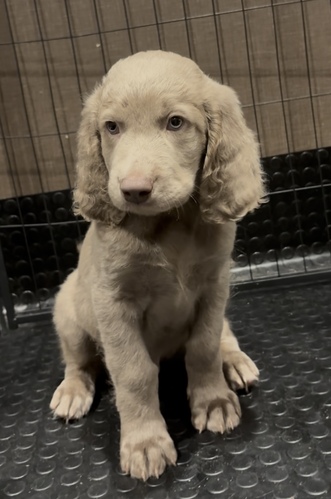 ���C�}���i�[ ���̔̔��E���n 902 �S���I�[�i�[�l���܂�܂����B