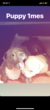 AJEX^btH[hV[EeA q T _񂠂肪Ƃ... 2041