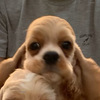 AJERbJ[EXpjG q T ot̉j̎q 3307