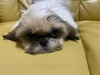 V[Y[ q T ̎q 5344