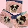 V[Y[ q T Cŉ3Babyfs... 5512