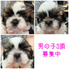 V[Y[ q T WI 5549
