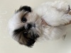 V[Y[ q T 4̏... 5600