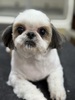 V[Y[ q T 3˂̏̎qAԂ... 5614