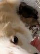 R[M[ q T \񉿊iIǌ... 5607