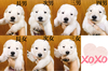 zCgEVFp[h(zCgEXCXEVFp[h) q T 炵7Z 344