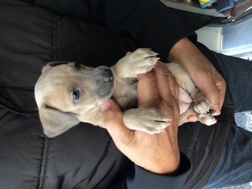 C^AEO[nEh ̔̔En 6604 Yȏ̎q