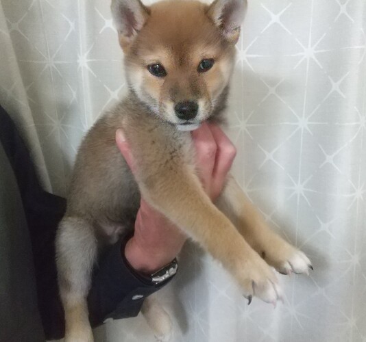 ČE ̔̔En 9967 ČqiIXjt