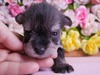 ViEU[ q T ViEU[... 5064