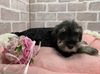 ViEU[ q T 򕌌育ƑW... 5094