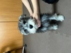 ViEU[ q T lĉV... 5179