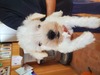 ViEU[ q T baby 5306