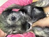 ViEU[ q T ̎q2A... 5401