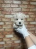 ViEU[ q T zCgVi@j... 5414