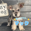 ViEU[ q T z\LIT}[tF... 5436