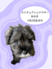 ViEU[ q T ~j`AViEU... 5443