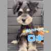 ViEU[ q T ǂĂ... 5456